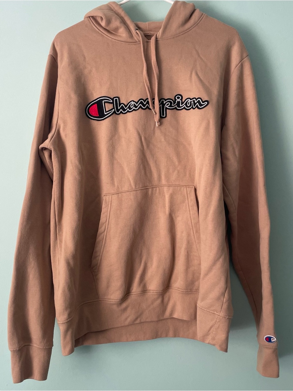 Champion Men's Hoodie